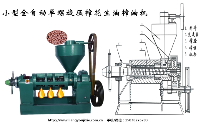花生榨油机