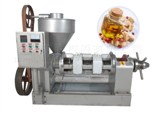 小型自动温控花生榨油机