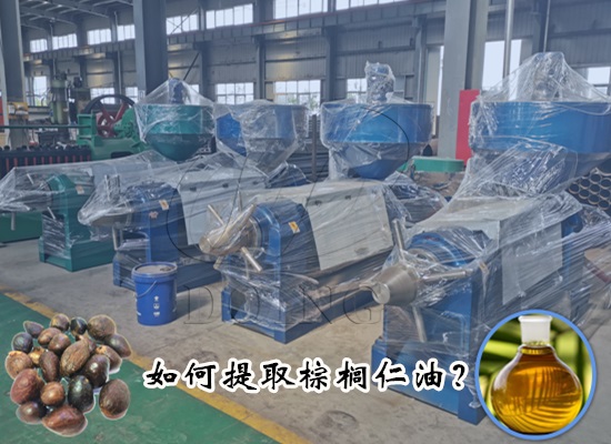 如何提取棕榈仁油？需要哪些棕榈仁油生产设备？