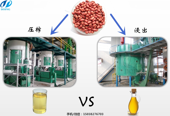 花生油生产制作工艺