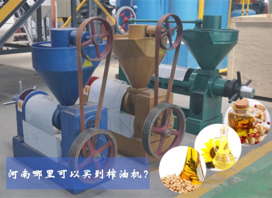 河南哪里可以买到榨油机？