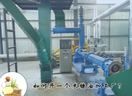 如何开一个米糠油加工厂？需要做什么准备？