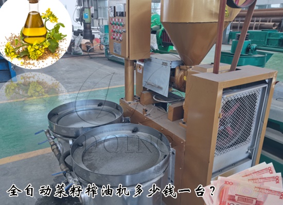 全自动菜籽榨油机多少钱一台？