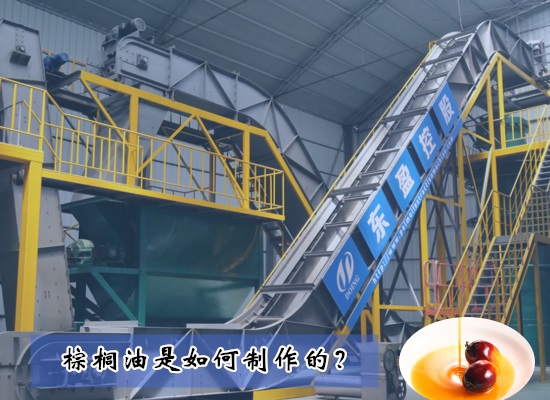 棕榈油是如何制作的？需要用什么棕榈油生产设备？