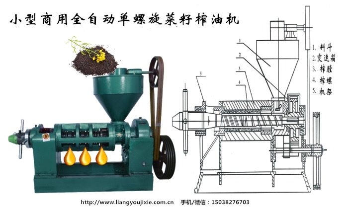 菜籽榨油机