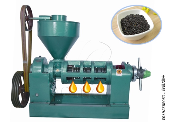 小型商用全自动单螺旋菜籽榨油机