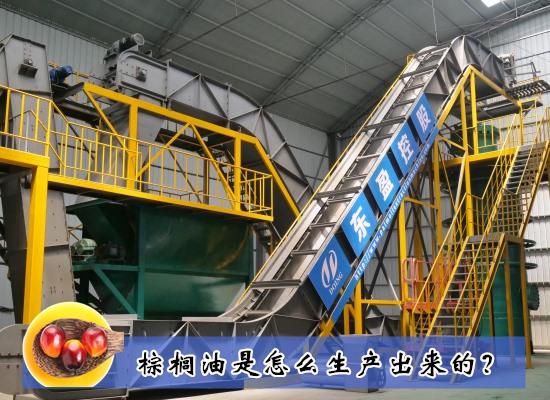 棕榈油是怎么生产出来的？生产过程主要包括几个步骤？