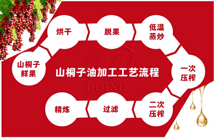 山桐子油加工工艺流程