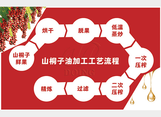 配置油脂设备压榨山桐子油，利润多多