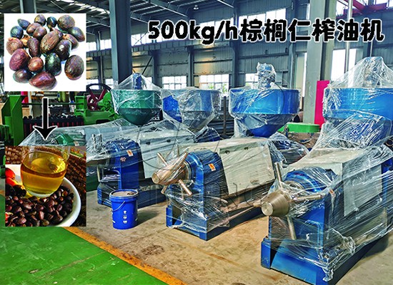 加纳客户500kg/h棕榈仁榨油机顺利投产！