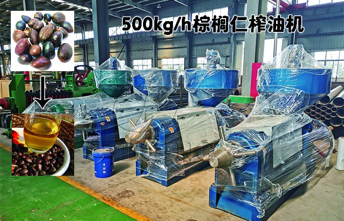 棕榈仁榨油机