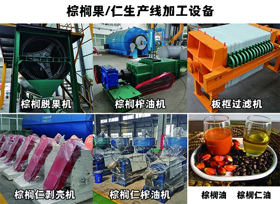 喜报：加纳客户2t/h棕榈果+棕榈仁榨油生产线已正式投产运营！