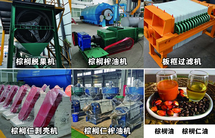 棕榈果榨油设备