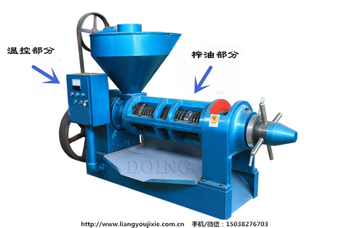 自动温控榨油机