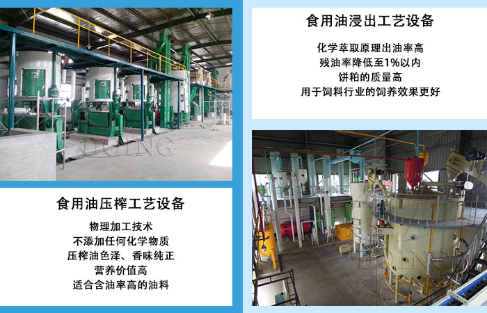 食用油加工工艺