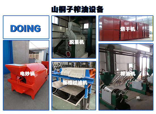 投资山桐子油加工厂需要多少钱？