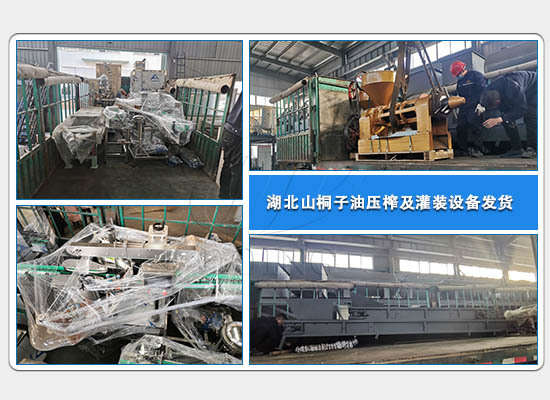 湖北山桐子油压榨及灌装设备发货