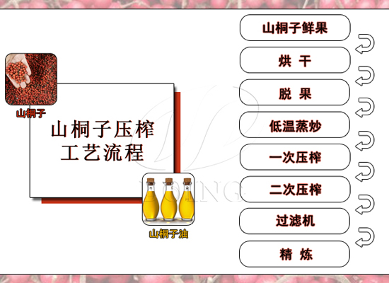 山桐子榨油技术升级完善产品矩阵，河南国瑞驶向发展快车道！