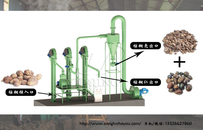 棕榈仁压榨设备