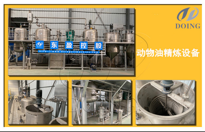 动物油精炼设备