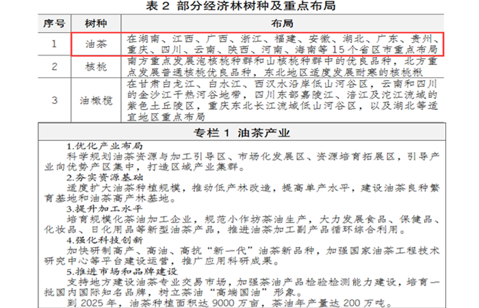 油茶产业最新国家政策