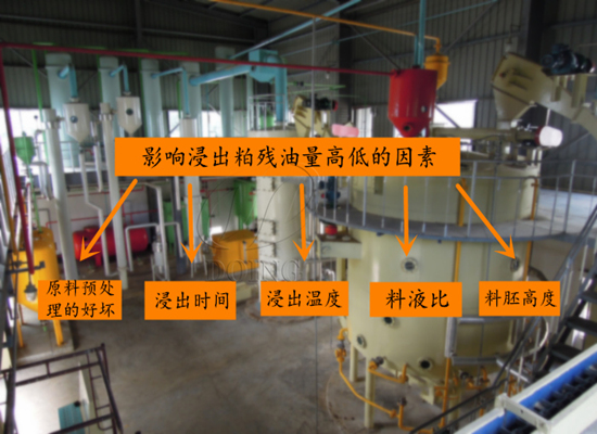 影响浸出粕残油量高低的因素有哪些？