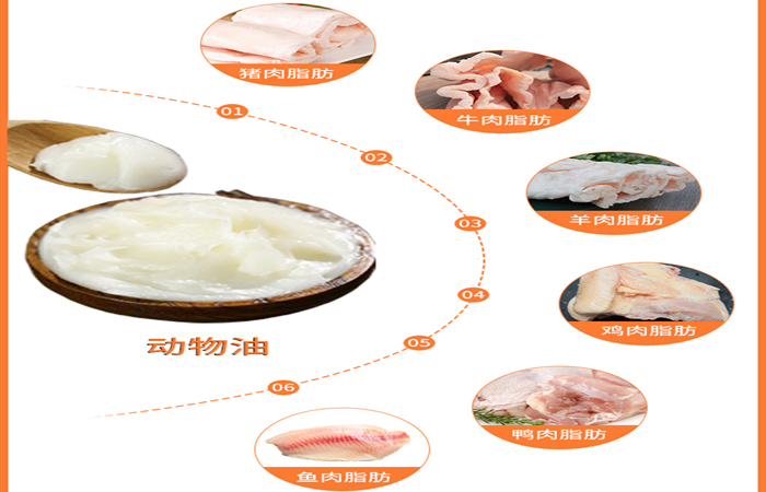 动物油原料