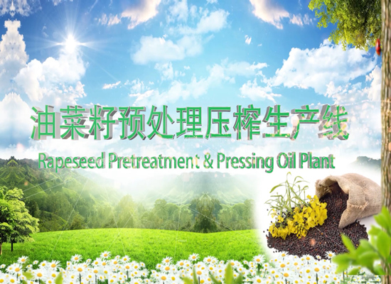 菜籽油预处理压榨生产线运行视频