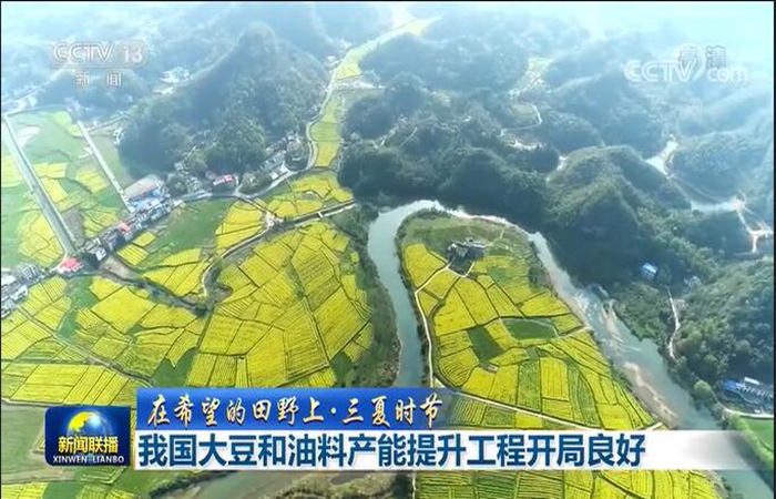 东北大豆产料提升