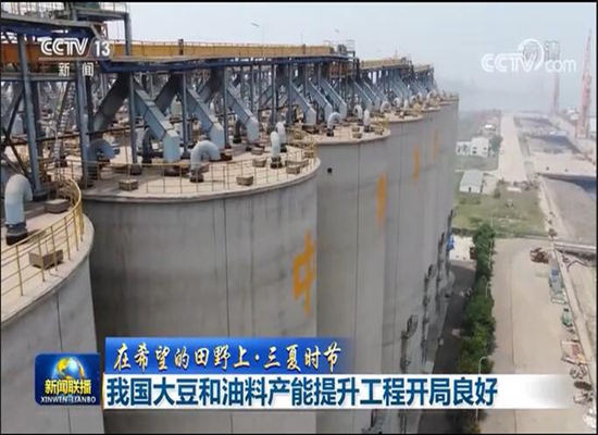我国大豆和油料产能提升工程开局良好