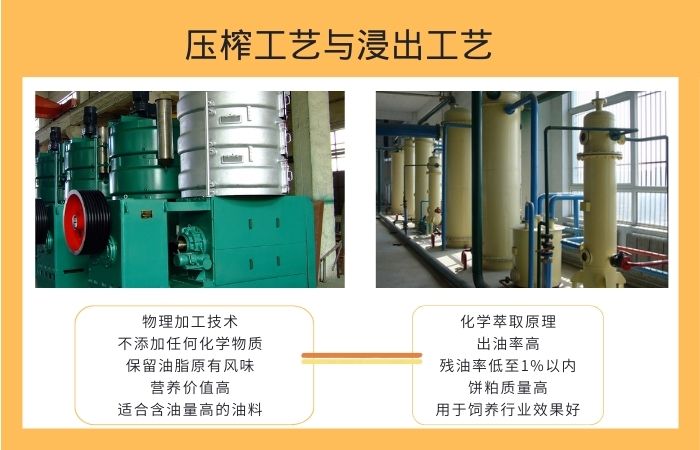 食用油压榨与浸出工艺