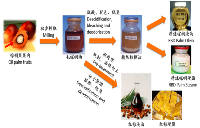 红棕榈油生产加工工艺
