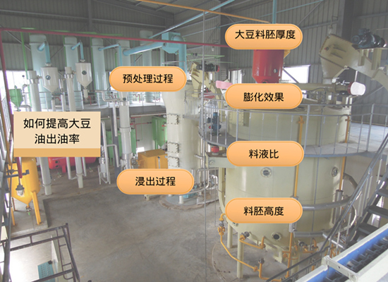 浸出法制取大豆油时，如何提高大豆油出油率？