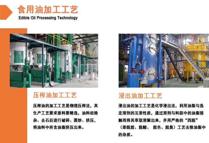 压榨设备与浸出设备