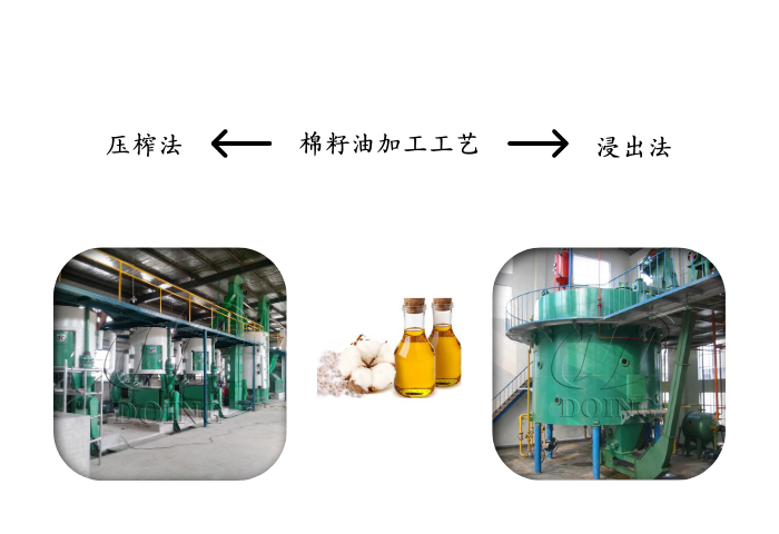 棉籽油加工设备