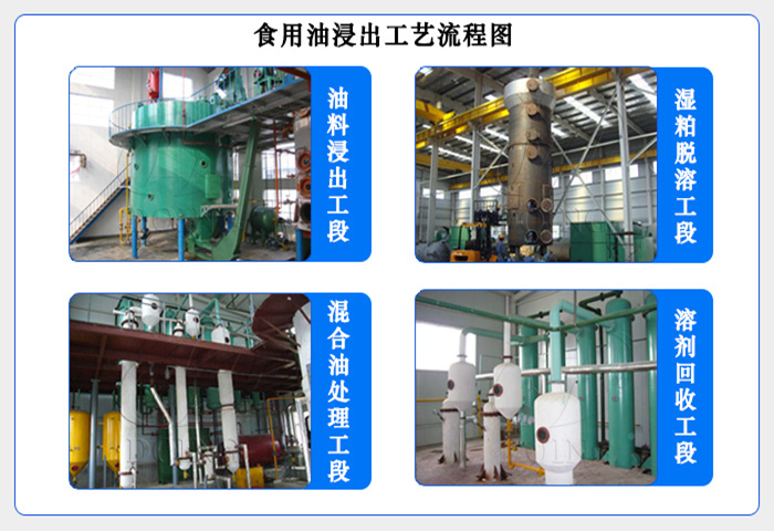 棉籽油浸出设备