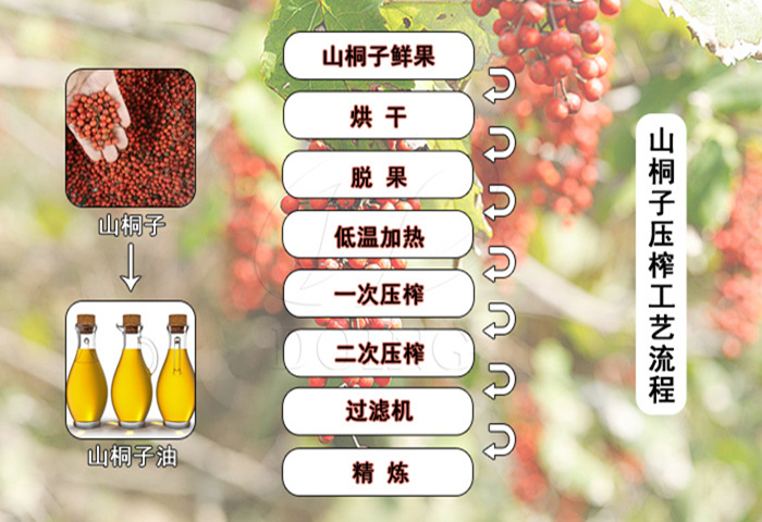 山桐子压榨工艺流程