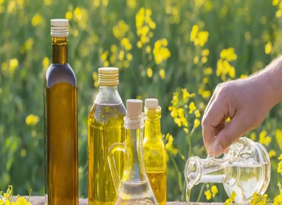 菜籽油加工厂需要什么设备？