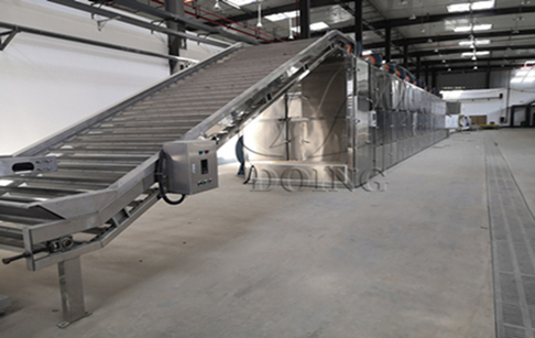 湖北利川400kg/h山桐子油压榨生产线全面建成投产