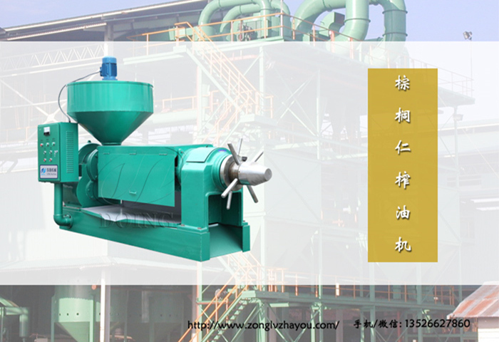 棕榈仁榨油机