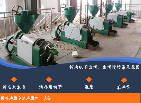 榨油机不出饼出饼慢怎么办？