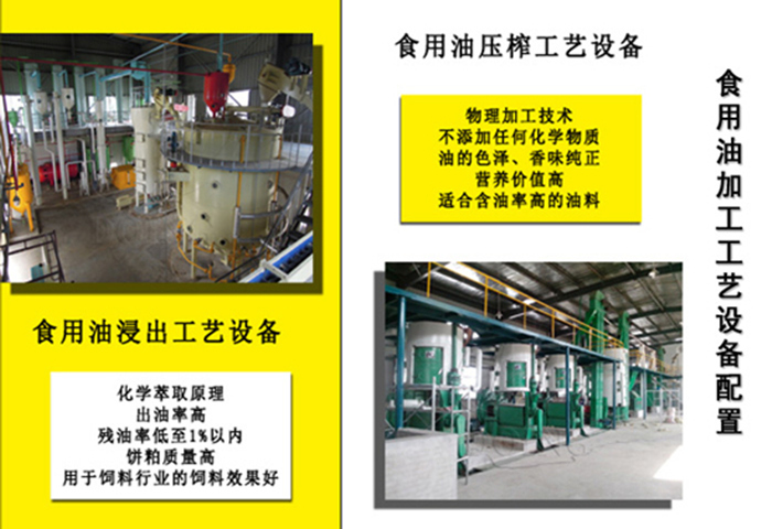 红花籽油加工工艺