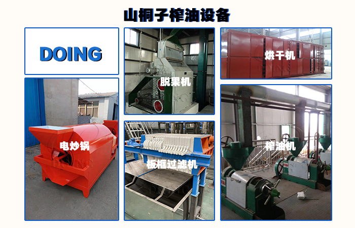 山桐子油加工设备