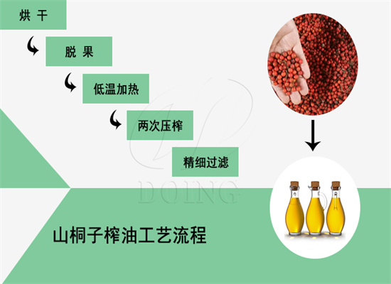 山桐子压榨出油率多少?100斤山桐子能榨多少斤油?