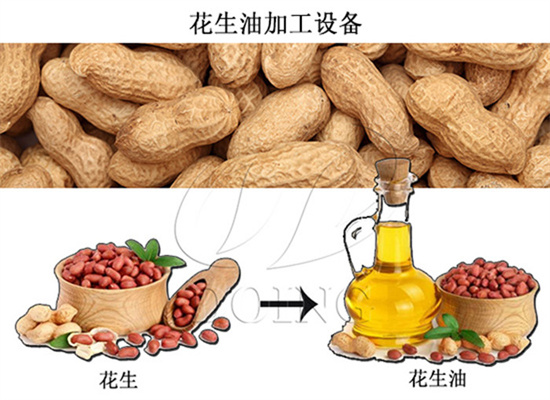 浓香型,清香型和冷榨型花生油的加工工艺和加工设备有什么不同?