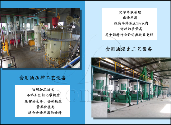 压榨与浸出工艺