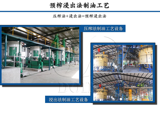 食用油怎么加工品质更好?四个关键因素告诉你答案