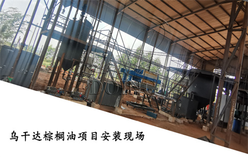 全套棕榈油和棕榈仁油加工设备在乌干达顺利安装完成