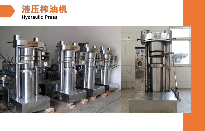 冷榨榨油机