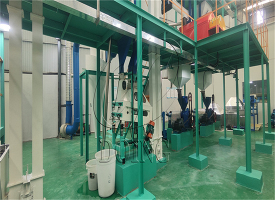 一条食用油加工生产线的规模如何确定?